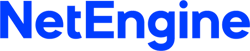 NetEngine-Brisbane-Software-Development